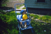 Enlarge photo 6