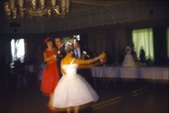 Enlarge photo 51