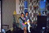 Enlarge photo 110