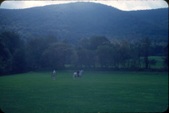 Enlarge photo 130