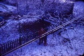 Enlarge photo 139