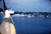 Enlarge photo 154