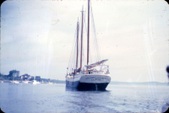 Enlarge photo 149