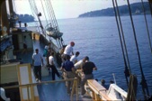 Enlarge photo 156