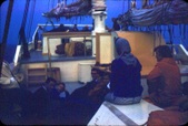 Enlarge photo 162
