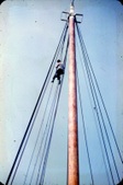 Enlarge photo 178