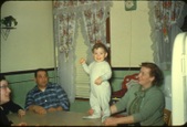 Enlarge photo 184