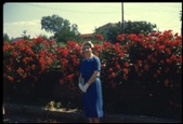 Enlarge photo 193