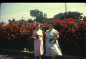 Enlarge photo 194