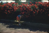 Enlarge photo 195