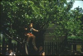 Enlarge photo 198