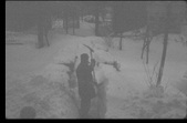 Enlarge photo 293