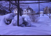 Enlarge photo 295