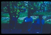 Enlarge photo 307