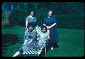 Enlarge photo 308