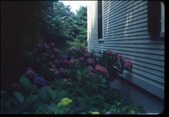 Enlarge photo 320