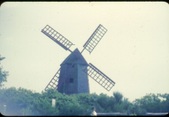 Enlarge photo 321
