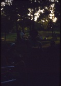 Enlarge photo 347