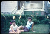 Enlarge photo 375