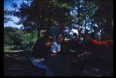 Enlarge photo 384