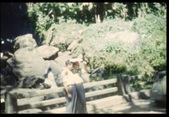 Enlarge photo 464