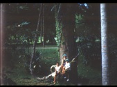 Enlarge photo 472