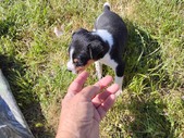 Enlarge photo 5