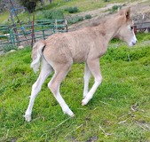 Enlarge photo 15