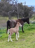 Enlarge photo 19