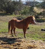 Enlarge photo 3