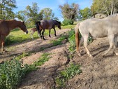 Enlarge photo 24