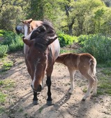 Enlarge photo 23
