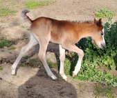 Enlarge photo 16