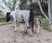 Enlarge photo 24