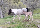 Enlarge photo 15