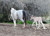 Enlarge photo 22