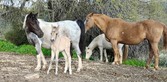 Enlarge photo 21