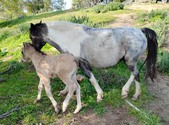 Enlarge photo 4