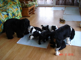 Enlarge photo 15