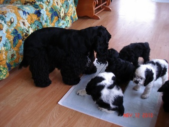Enlarge photo 14