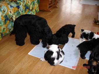 Enlarge photo 13