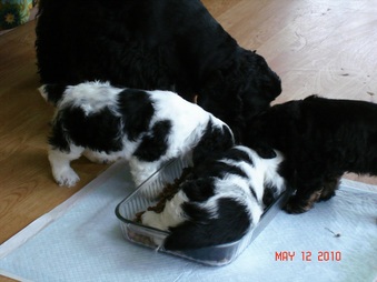 Enlarge photo 12
