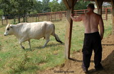 Enlarge photo 497