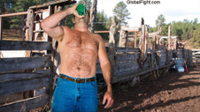 Enlarge photo 1507