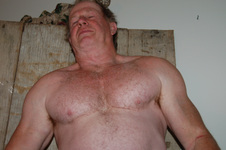 Enlarge photo 1176