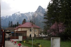 Enlarge photo 2