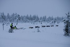 Enlarge photo 4