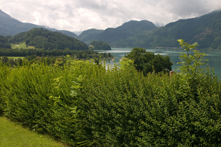 Enlarge photo 13