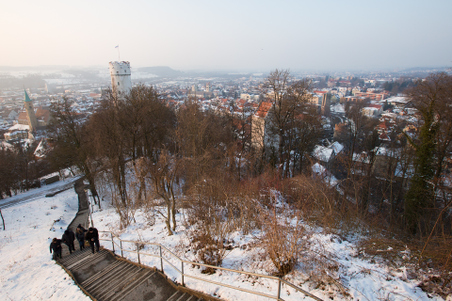 Enlarge photo 16