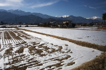 Enlarge photo 1